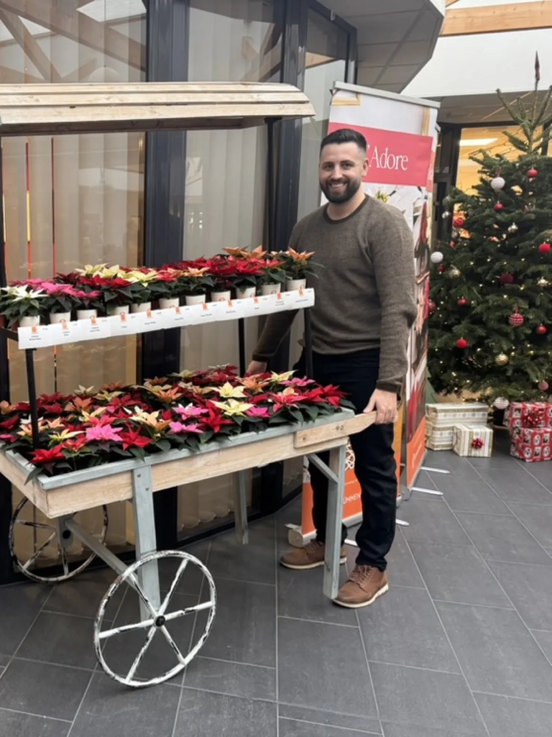 Frederik Schulte am Poinsettien-Neuheitenwagen bei Dümmen Orange